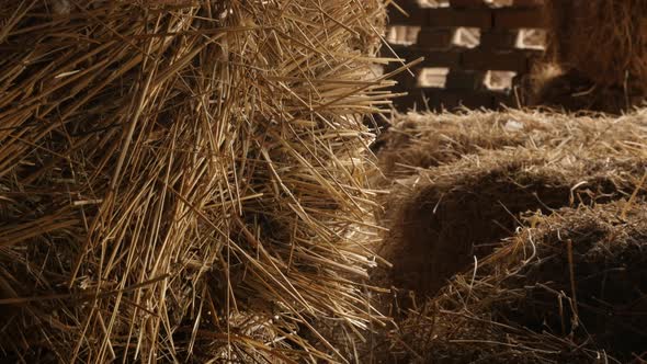 Large rectangular bales in the barn close-up 4K 2160p 30fps UltraHD tilting footage - Stacks of bale