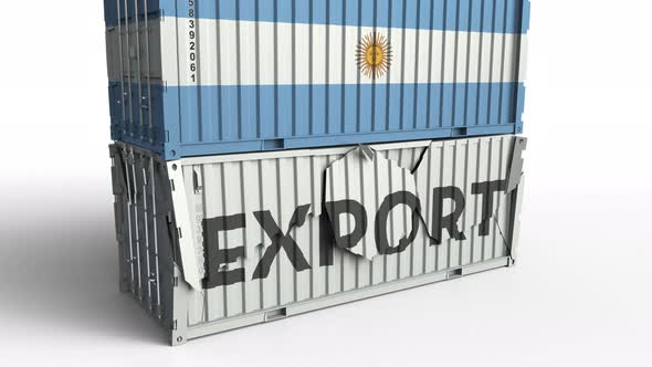 Container with Flag of Argentina Breaking Container with EXPORT Text