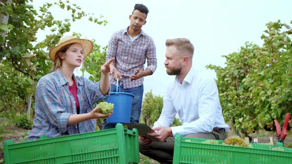 Business Farming Concept Beautiful Lady and a