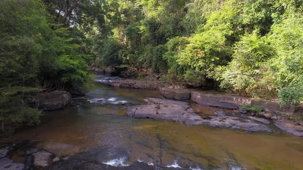 River in Forest