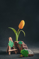 concept spring. freakebana. yellow tulip and Four-leaf clover. the concept of St. Patrick's Day - PhotoDune Item for Sale