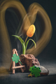 concept spring. freakebana. yellow tulip and Four-leaf clover. the concept of St. Patrick's Day - PhotoDune Item for Sale