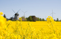 rapeseed and windmills - PhotoDune Item for Sale