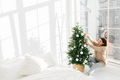 Positive young female poses near big window in cozy bedroom, enjoys decorating Christmas tree - PhotoDune Item for Sale
