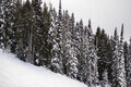 Snow runs  - PhotoDune Item for Sale