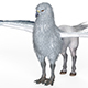 Fantasy Hippogriff - 3DOcean Item for Sale