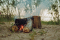 burning logs of wood in campfire - PhotoDune Item for Sale