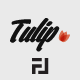 Tulip - Responsive WordPress Blog Theme - ThemeForest Item for Sale