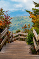 Scenic autumn views on the Blue Ridge Parkway - PhotoDune Item for Sale