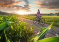 Woman on mountain bike on gravel road at sunset in summer - PhotoDune Item for Sale