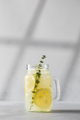 Homemade lemonade with fresh lemon slices in a glass. A summer refreshing drink. - PhotoDune Item for Sale
