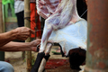 The process of cutting meat for the celebration of Eid al-Adha. The Muslim's Feast of Qurban - PhotoDune Item for Sale