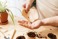 Men's hands pour seeds for planting in peat pots on the palm of your hand.  - PhotoDune Item for Sale