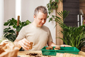 A man puts peat cups in a home greenhouse. Growing vegetables and herbs at home.  - PhotoDune Item for Sale