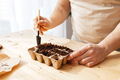 The process of planting seeds. A man pours earth with a small spatula into ecological peat moulds.  - PhotoDune Item for Sale