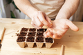 Man planting tomato seeds for seedlings at home.Thehe seed into a hole in the gman's hands put round - PhotoDune Item for Sale