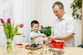 Dad and son decorate a heart-shaped cake with fresh berries and prepare a gift - PhotoDune Item for Sale