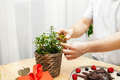 Close-up of a man's hands decorating a chocolate heart cake with a sprig of fresh mint for valentine - PhotoDune Item for Sale