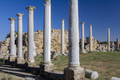 The Ruins of Salamis - Turkish Cyprus - PhotoDune Item for Sale