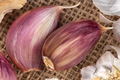 Garlic cloves - PhotoDune Item for Sale