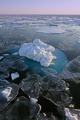 Sea ice in the Arctic off the coast of eastern Greenland - PhotoDune Item for Sale