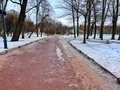 dirty melting snow and slush on park lane on early Spring. naked trees reflecting in puddle - PhotoDune Item for Sale