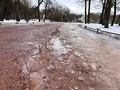 dirty melting snow and slush on park lane on early Spring. naked trees reflecting in puddle - PhotoDune Item for Sale