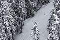 Ski run - PhotoDune Item for Sale