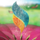Spring/Nature Petals Blossom Flower Logo - VideoHive Item for Sale