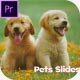 Welcome Pet - VideoHive Item for Sale