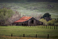 Old Rustic Barn with old fence and hills of white wildflowers - PhotoDune Item for Sale