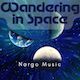 Wandering In Space
