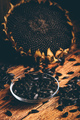 Roasted seeds and dried sunflower - PhotoDune Item for Sale