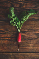 Homegrown red radish - PhotoDune Item for Sale