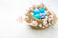 Happy Easter - nest with Easter eggs and cherry branch on white background with copy space - PhotoDune Item for Sale