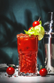 Bloody Mary classic alcoholic cocktail drink with tomato juice, vodka, lemon, celery, - PhotoDune Item for Sale
