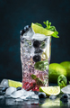 Blueberry Mojito cocktail drink with lime, white rum, soda, cane sugar, mint, and ice in glass - PhotoDune Item for Sale