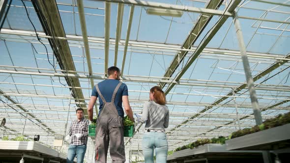 Farmers in a Greenhouse with Modern Technology