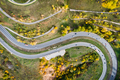 bird's-eye view of the road with an autumn forest and a road slot. - PhotoDune Item for Sale