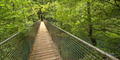 Fragas do Eume Natural Park, Pontedeume, Spain - PhotoDune Item for Sale
