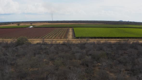 Commercial vineyard plantation in rural Brazil. Wide aerial shot, push in.