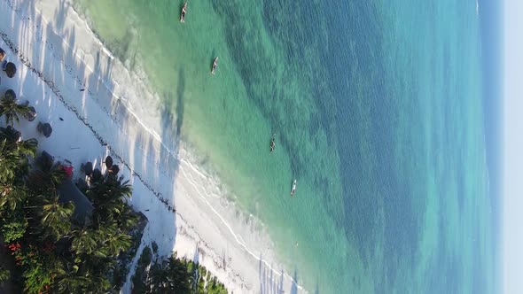 Vertical Video of the Coast of Zanzibar Island Tanzania Slow Motion