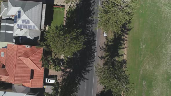 Top down shot of road and trees 4K 50fps