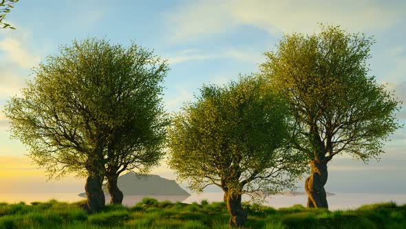 Untouched mediterranean nature landscape