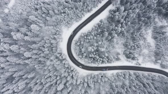 Aerial top view of road, in middle of snow covered trees and snowy forest