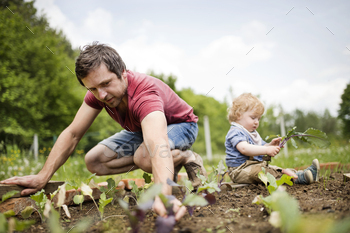 Father with his little son in the garden planting seedlings