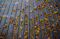 The fall leaves on the metal roof - PhotoDune Item for Sale
