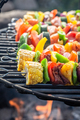 Hot and tasty skewers on grill made of healthy ingredients. - PhotoDune Item for Sale