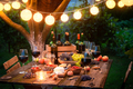 Rustic table with wine and appetizers in the summer evening - PhotoDune Item for Sale