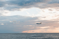 Airplane tourist in the sky, summer travel, travel industry, vacation - PhotoDune Item for Sale